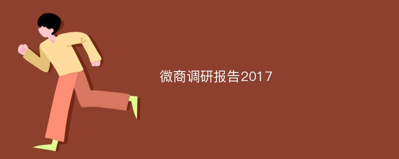 微商调研报告2017